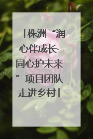 株洲“润心伴成长·同心护未来”项目团队走进乡村
