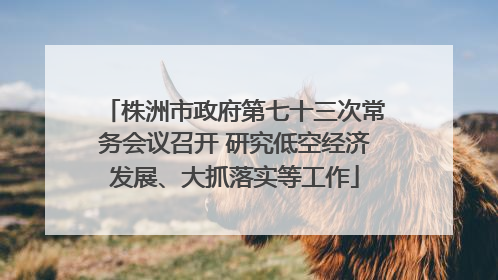 株洲市政府第七十三次常务会议召开 研究低空经济发展、大抓落实等工作