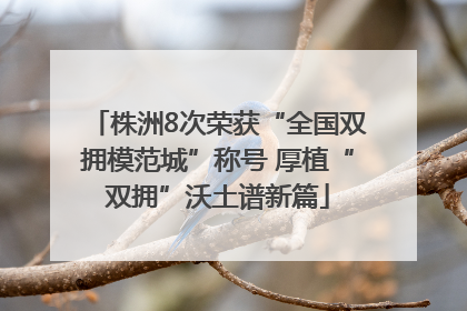 株洲8次荣获“全国双拥模范城”称号 厚植“双拥”沃土谱新篇