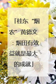 桂东“烟农”黄德文：烟田有效益就是最大的成就