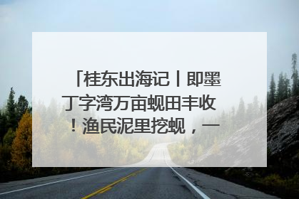 桂东出海记丨即墨丁字湾万亩蚬田丰收！渔民泥里挖蚬，一天上岸过千斤