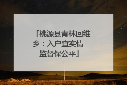 桃源县青林回维乡：入户查实情 监督保公平