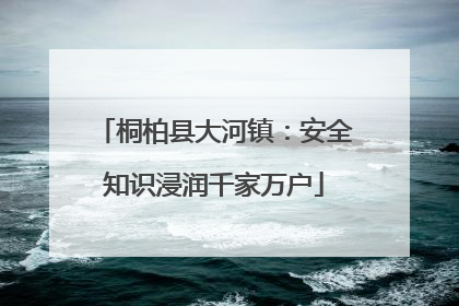 桐柏县大河镇：安全知识浸润千家万户