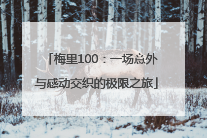 梅里100：一场意外与感动交织的极限之旅