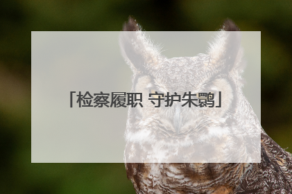 检察履职 守护朱鹮