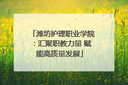 潍坊护理职业学院：汇聚职教力量 赋能高质量发展