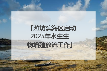潍坊滨海区启动2025年水生生物增殖放流工作