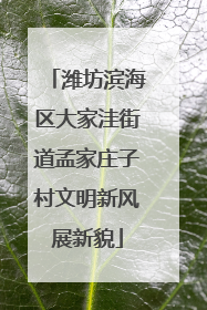 潍坊滨海区大家洼街道孟家庄子村文明新风展新貌