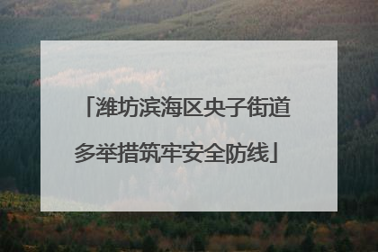 潍坊滨海区央子街道多举措筑牢安全防线