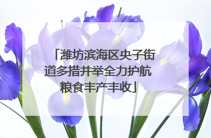 潍坊滨海区央子街道多措并举全力护航粮食丰产丰收