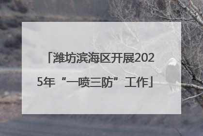 潍坊滨海区开展2025年“一喷三防”工作