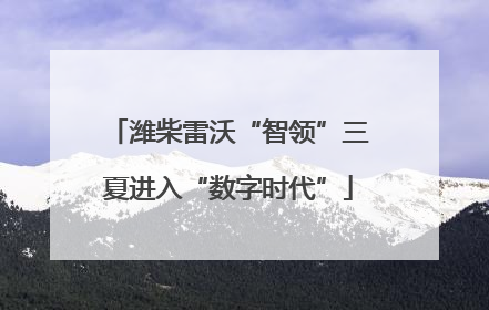 潍柴雷沃“智领”三夏进入“数字时代”