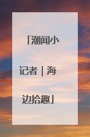 潮闻小记者｜海边拾趣