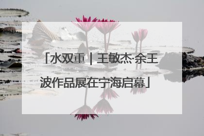 水双重｜王敏杰·余王波作品展在宁海启幕
