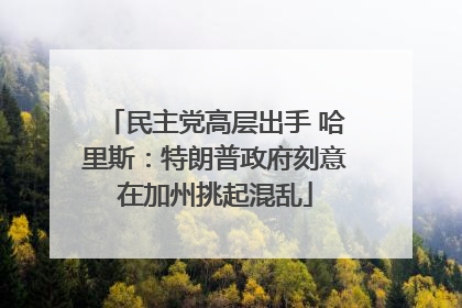 民主党高层出手 哈里斯：特朗普政府刻意在加州挑起混乱