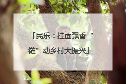 民乐：挂面飘香“链”动乡村大振兴