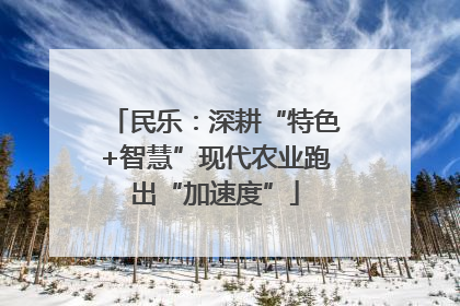 民乐：深耕“特色+智慧”现代农业跑出“加速度”