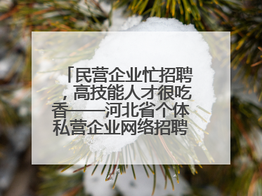 民营企业忙招聘，高技能人才很吃香——河北省个体私营企业网络招聘大会扫描