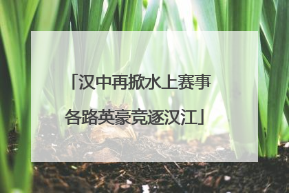 汉中再掀水上赛事 各路英豪竞逐汉江
