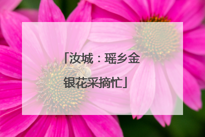 汝城：瑶乡金银花采摘忙