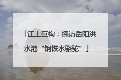 江上巨构：探访岳阳洪水港“钢铁水骆驼”