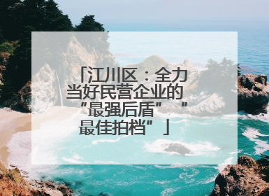 江川区：全力当好民营企业的“最强后盾”“最佳拍档”