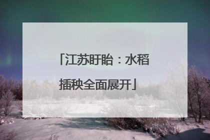 江苏盱眙：水稻插秧全面展开