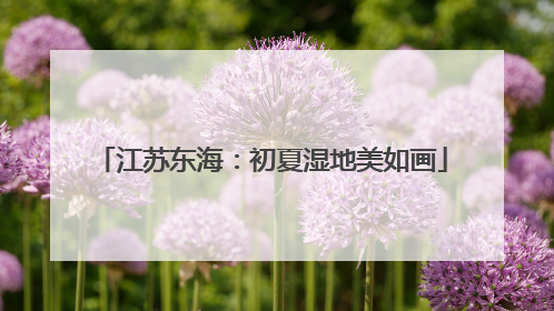 江苏东海：初夏湿地美如画