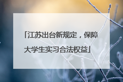 江苏出台新规定，保障大学生实习合法权益