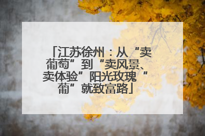 江苏徐州：从“卖葡萄”到“卖风景、卖体验”阳光玫瑰“葡”就致富路