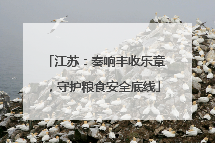 江苏：奏响丰收乐章，守护粮食安全底线