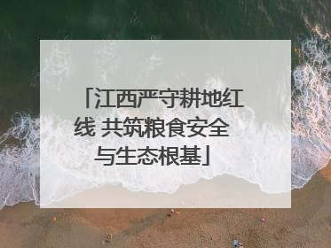 江西严守耕地红线 共筑粮食安全与生态根基