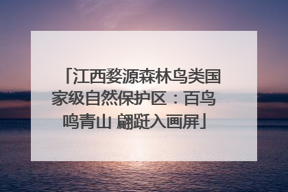 江西婺源森林鸟类国家级自然保护区：百鸟鸣青山 翩跹入画屏