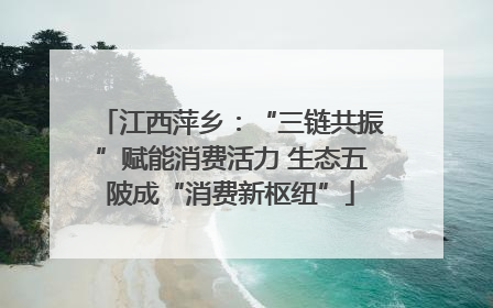 江西萍乡：“三链共振”赋能消费活力 生态五陂成“消费新枢纽”
