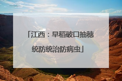 江西：早稻破口抽穗 统防统治防病虫