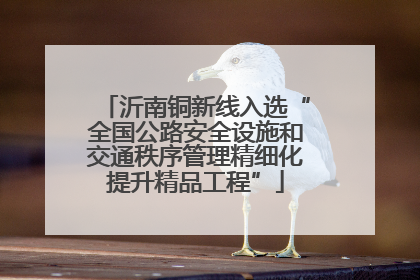 沂南铜新线入选“全国公路安全设施和交通秩序管理精细化提升精品工程”