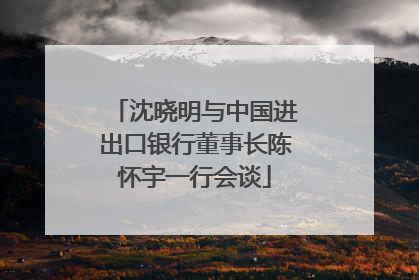 沈晓明与中国进出口银行董事长陈怀宇一行会谈