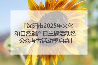 沈阳市2025年文化和自然遗产日主题活动暨公众考古活动季启幕