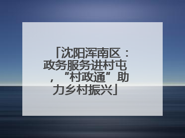 沈阳浑南区：政务服务进村屯，“村政通”助力乡村振兴
