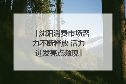 沈阳消费市场潜力不断释放 活力迸发亮点频现