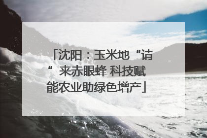 沈阳：玉米地“请”来赤眼蜂 科技赋能农业助绿色增产