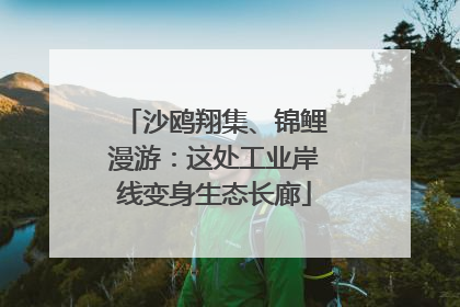 沙鸥翔集、锦鲤漫游：这处工业岸线变身生态长廊