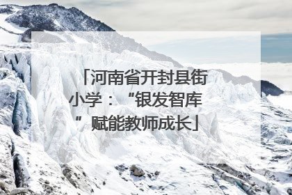 河南省开封县街小学：“银发智库”赋能教师成长