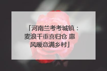 河南兰考考城镇：麦浪千重喜归仓 惠风暖意满乡村