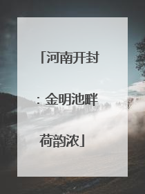 河南开封：金明池畔荷韵浓