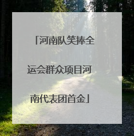 河南队笑捧全运会群众项目河南代表团首金