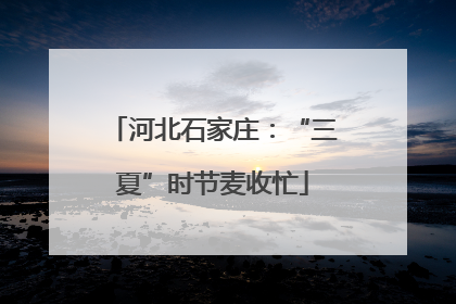 河北石家庄：“三夏”时节麦收忙