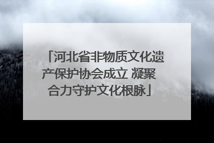 河北省非物质文化遗产保护协会成立 凝聚合力守护文化根脉