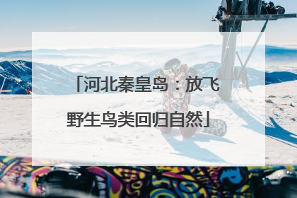 河北秦皇岛：放飞野生鸟类回归自然