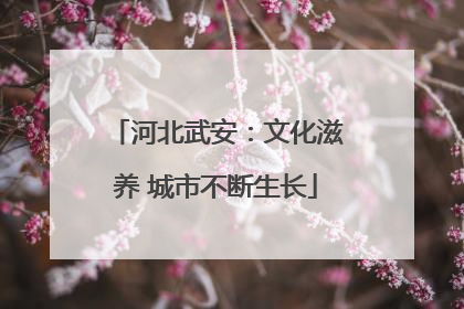 河北武安：文化滋养 城市不断生长
